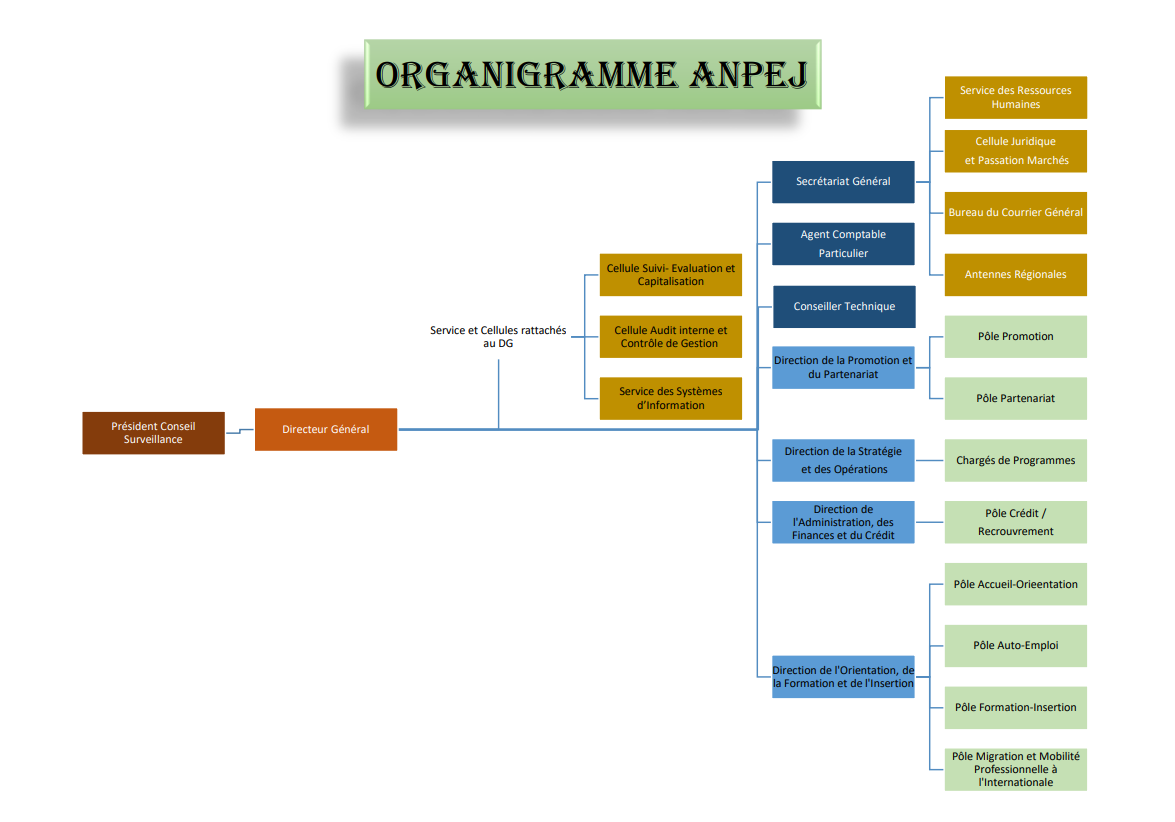 organigramme
